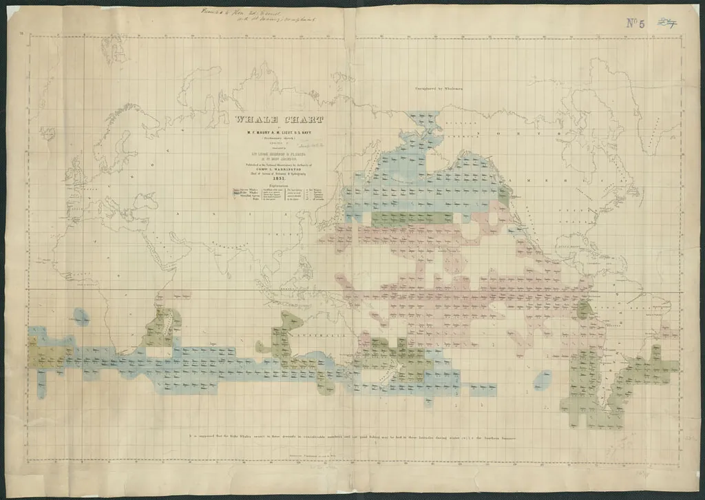 Antiguo mapa náutico de rutas de ballenas, 1851